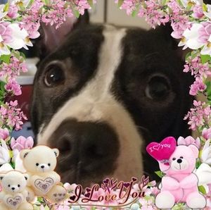 Meet your Posher, Patty